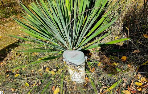 Tiny photo for 602 Olive Street, St Louis, MI 48880 (MLS # 1940207)