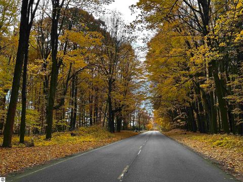 Tiny photo for 3021 Brittany Drive, Mt Pleasant, MI 48858 (MLS # 1940453)