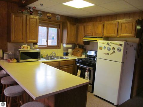 Tiny photo for 1191 W 10 1/2 Mile Road, Irons, MI 49644 (MLS # 1940703)