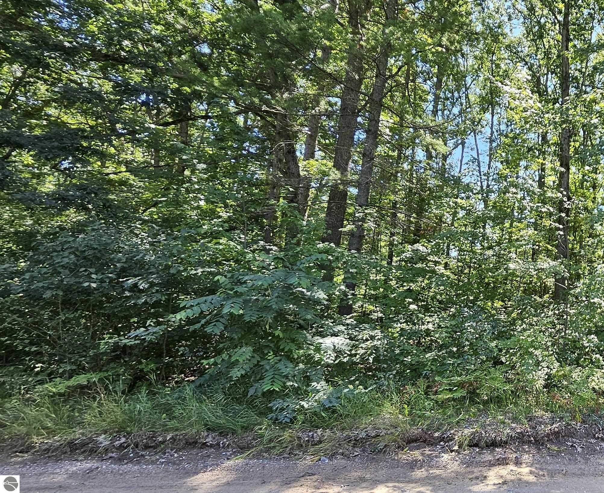 Photo 1 of 10 — 00 Merritt Street, Fife Lake, MI 49633