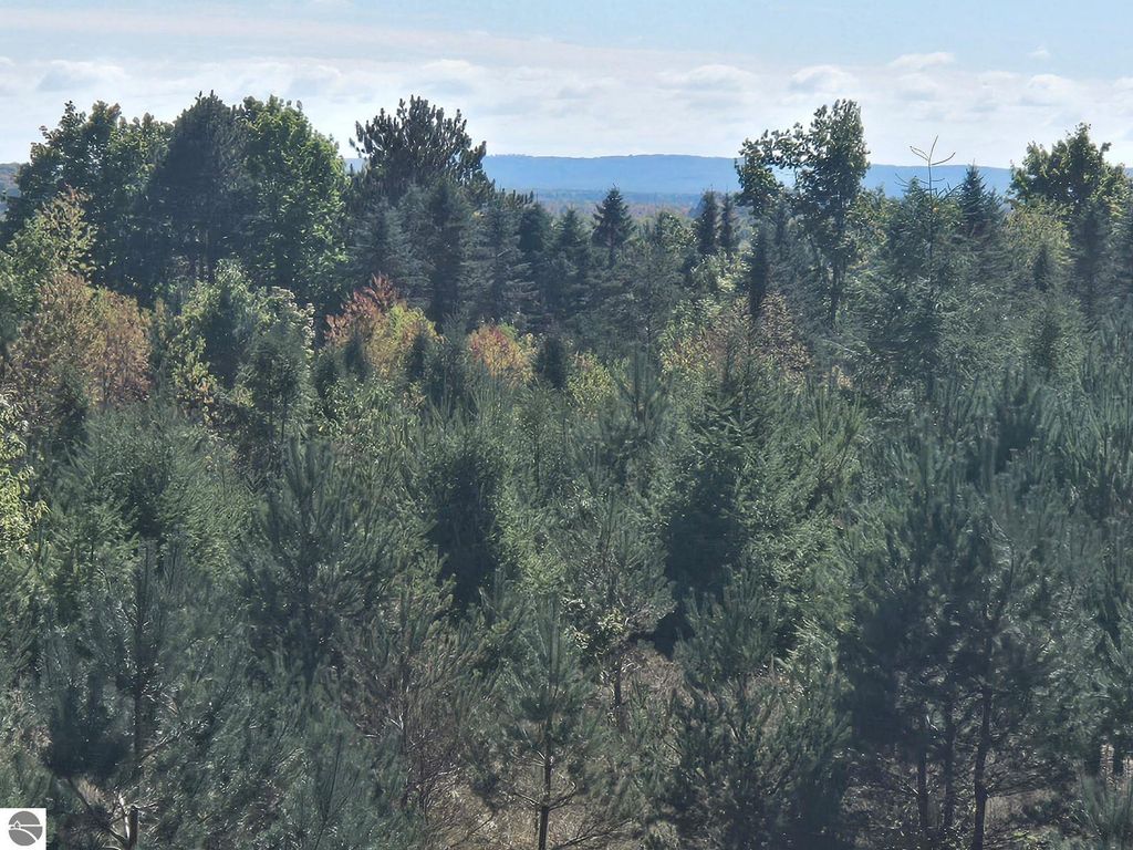 Photo of 00 Moorestown Road, Lake City, MI 49651 (MLS # 1929448)