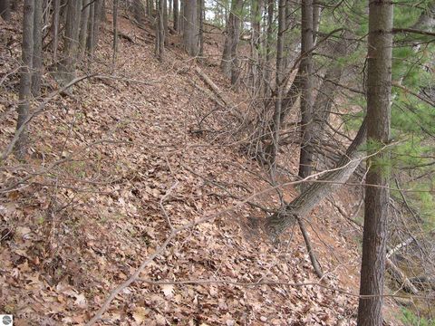 Tiny photo for 1589 Edgewater Ridge, Traverse City, MI 49684 (MLS # 1914251)