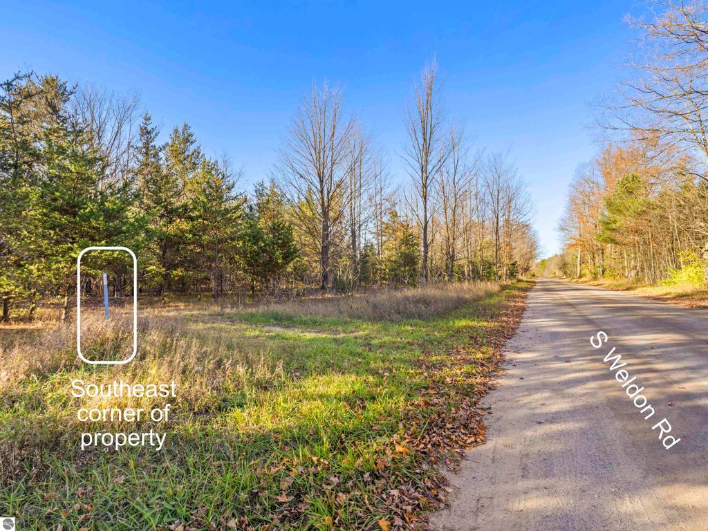 Photo of 00 N Weldon Road, Beulah, MI 49617 (MLS # 1940003)