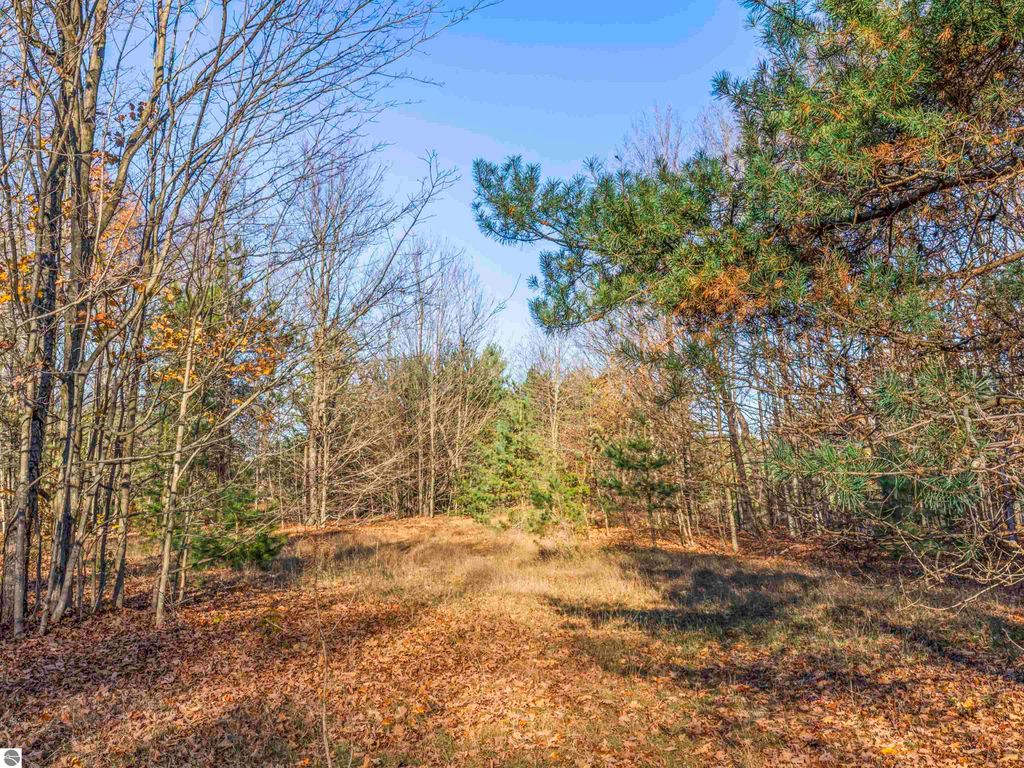 Photo of 00 N Weldon Road, Beulah, MI 49617 (MLS # 1940003)
