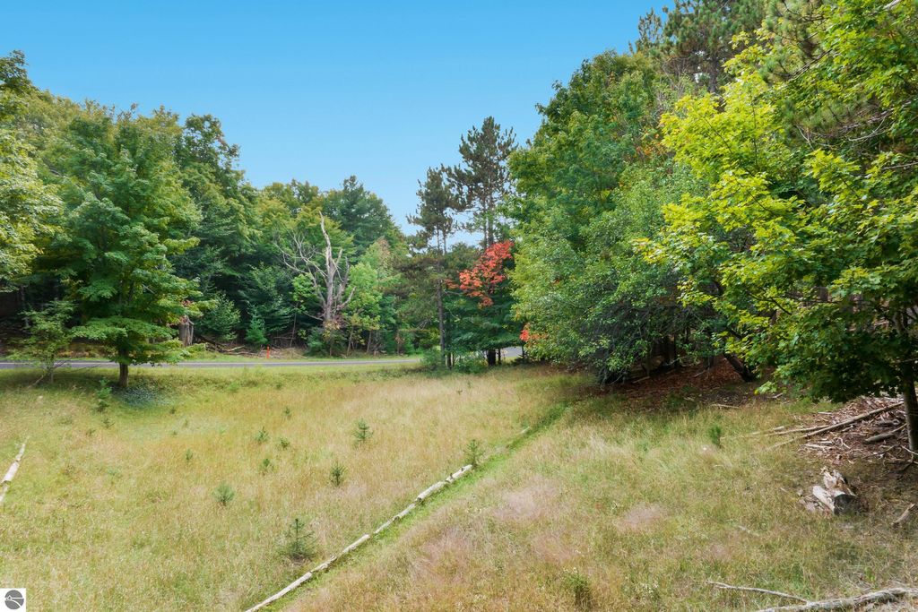 Photo of 00-C Pautz Road, Frankfort, MI 49635 (MLS # 1939031)