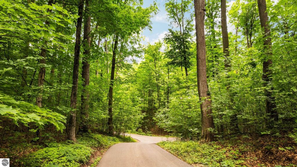 Photo of 7277 Lautner Road, Williamsburg, MI 49690 (MLS # 1939565)