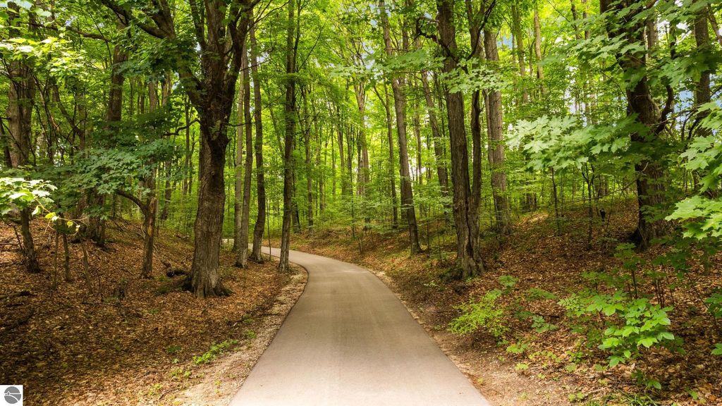 Photo of 7277 Lautner Road, Williamsburg, MI 49690 (MLS # 1939565)