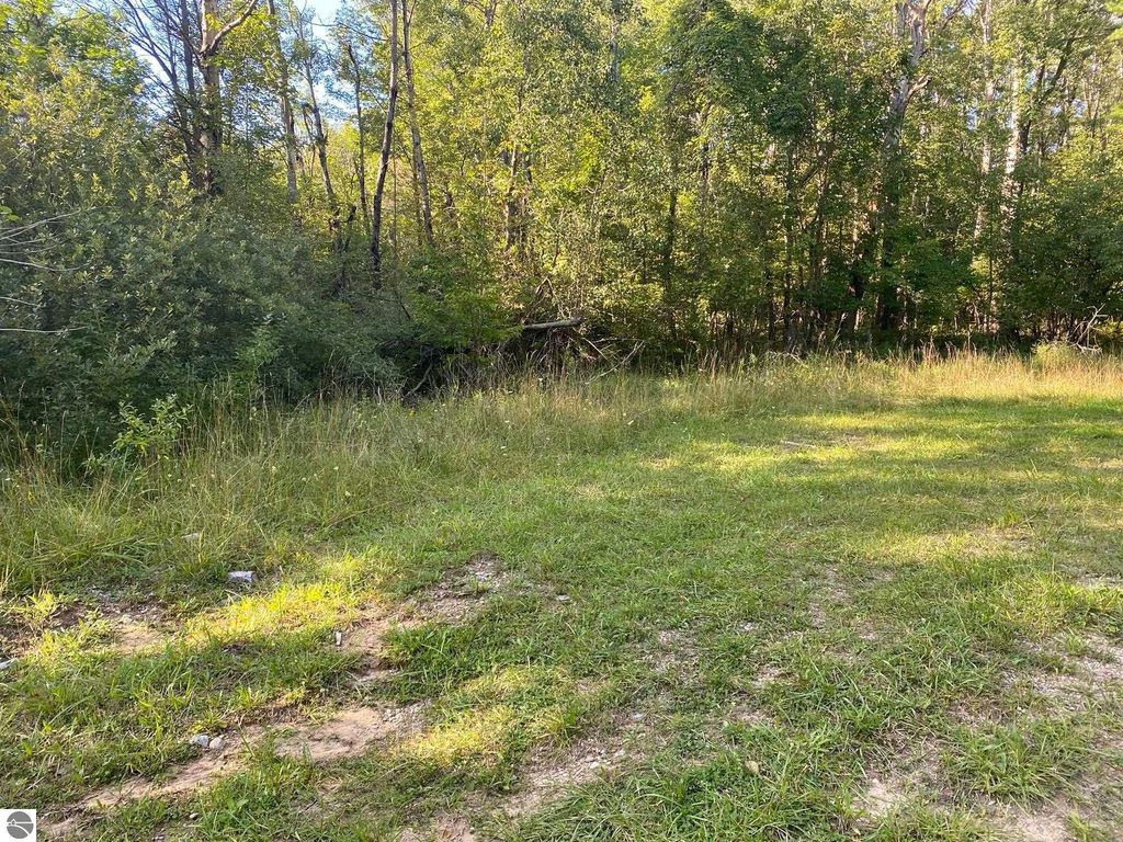 Photo of Cowlitz Cove #Multip, Evart, MI 49631 (MLS # 1904512)
