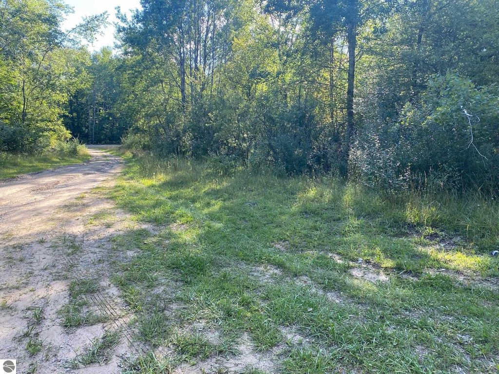 Photo of Cowlitz Cove #Multip, Evart, MI 49631 (MLS # 1904512)