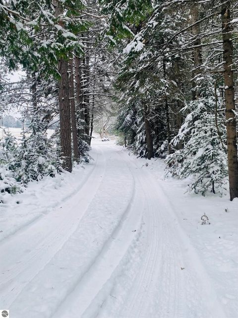 Tiny photo for 1240 Quigley Road, West Branch, MI 48661 (MLS # 1940949)