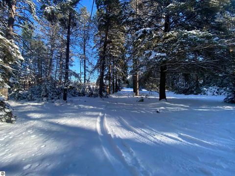 Tiny photo for 1240 Quigley Road, West Branch, MI 48661 (MLS # 1940949)