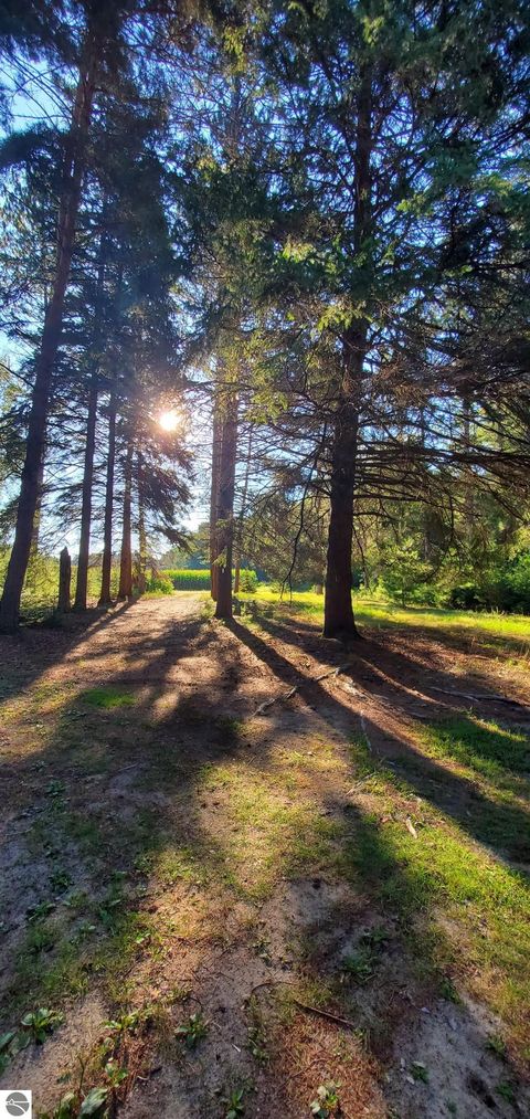 Tiny photo for 1240 Quigley Road, West Branch, MI 48661 (MLS # 1940949)