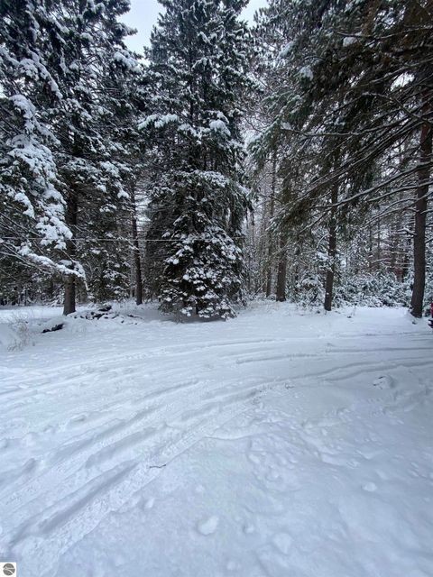 Tiny photo for 1240 Quigley Road, West Branch, MI 48661 (MLS # 1940949)