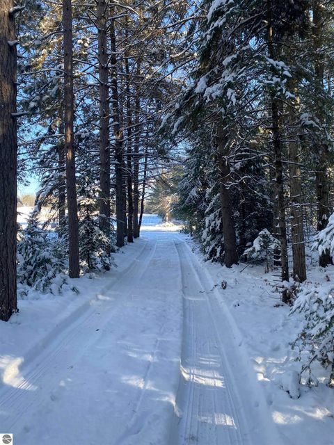 Tiny photo for 1240 Quigley Road, West Branch, MI 48661 (MLS # 1940949)