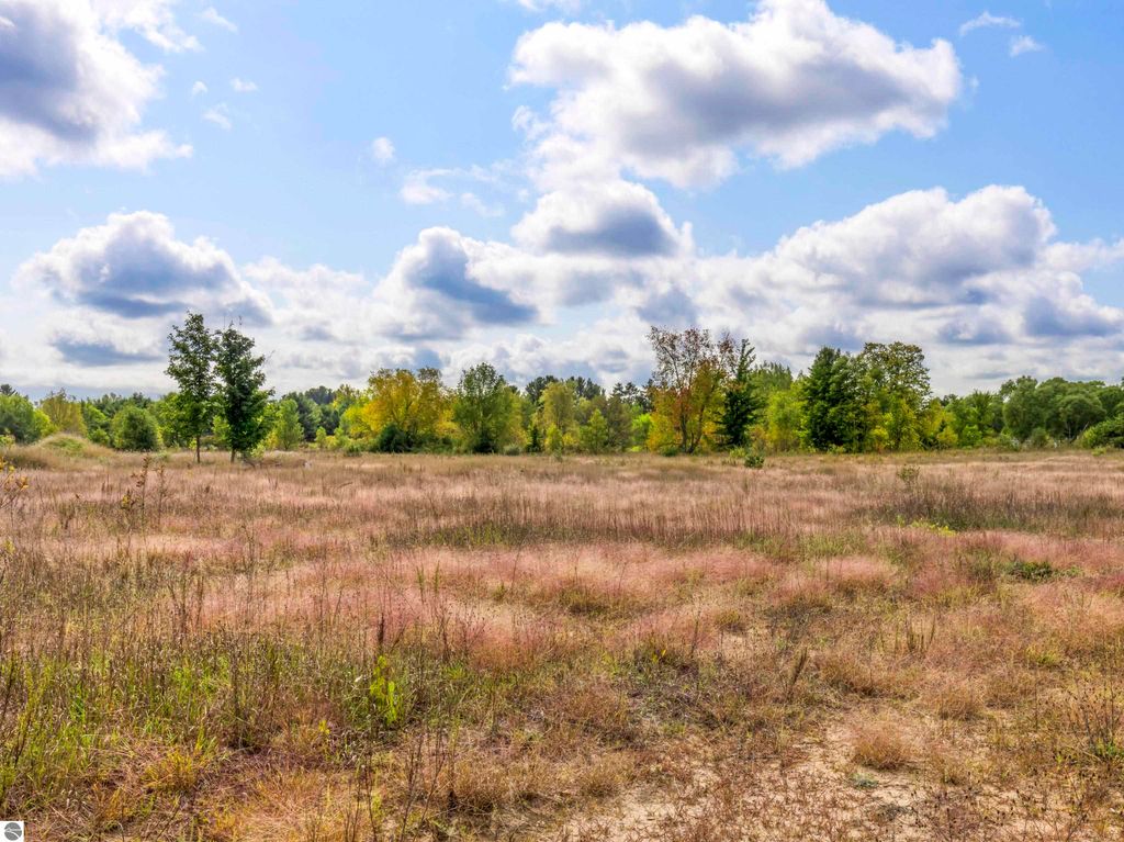 Photo of Industrial Park Street, Thompsonville, MI 49683 (MLS # 1939098)