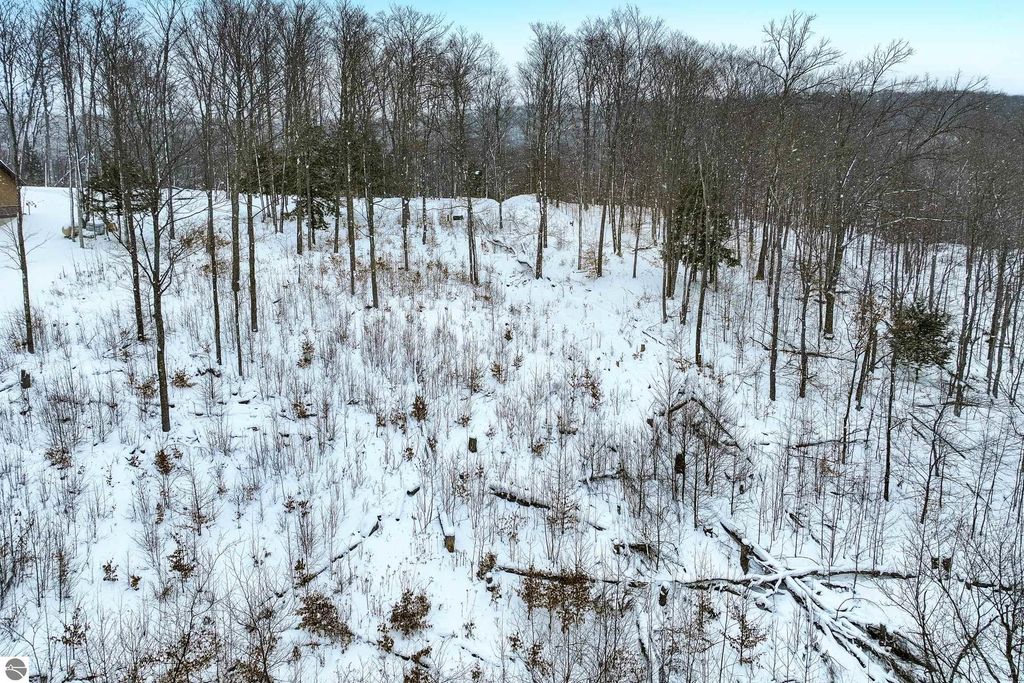 Photo of 11 Connemara Drive, Boyne City, MI 49712 (MLS # 1930343)