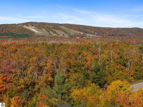 Tiny photo for 6755 Pleasantview Road, Harbor Springs, MI 49740 (MLS # 1940049)