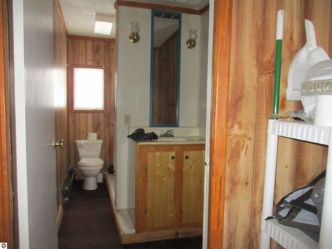 Tiny photo for 430 Bridge Avenue, Alma, MI 48801 (MLS # 1941200)