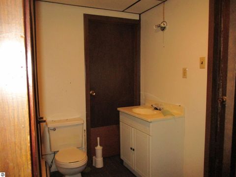 Tiny photo for 430 Bridge Avenue, Alma, MI 48801 (MLS # 1941200)