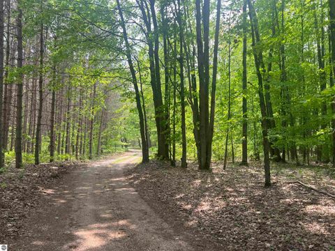 Tiny photo for 135 Montgomery Road, South Boardman, MI 49680 (MLS # 1940044)