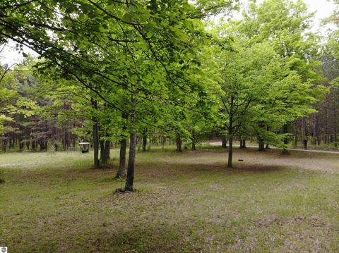 Tiny photo for 135 Montgomery Road, South Boardman, MI 49680 (MLS # 1940044)