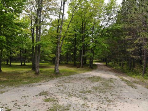Tiny photo for 135 Montgomery Road, South Boardman, MI 49680 (MLS # 1940044)