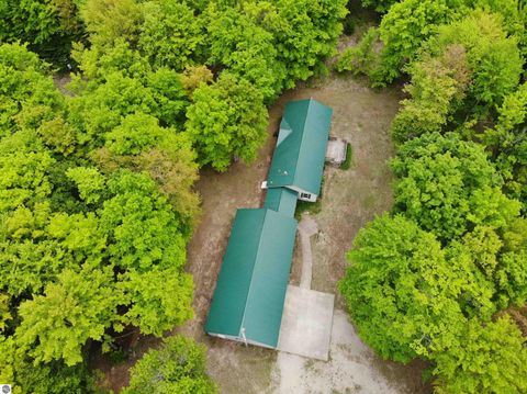 Tiny photo for 135 Montgomery Road, South Boardman, MI 49680 (MLS # 1940044)