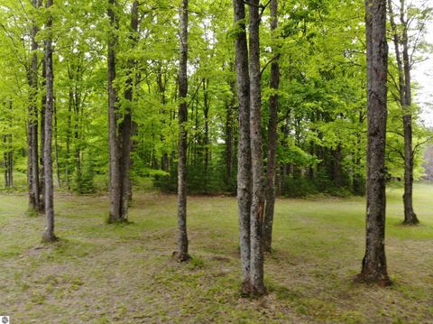 Tiny photo for 135 Montgomery Road, South Boardman, MI 49680 (MLS # 1940044)