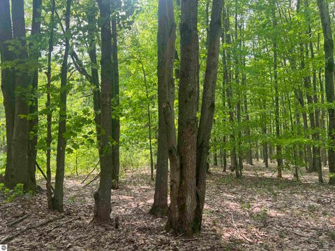 Tiny photo for 135 Montgomery Road, South Boardman, MI 49680 (MLS # 1940044)