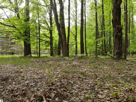 Tiny photo for 135 Montgomery Road, South Boardman, MI 49680 (MLS # 1940044)