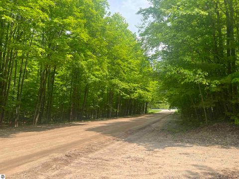 Tiny photo for 135 Montgomery Road, South Boardman, MI 49680 (MLS # 1940044)