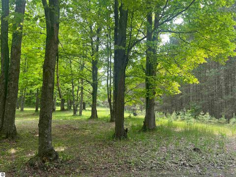 Tiny photo for 135 Montgomery Road, South Boardman, MI 49680 (MLS # 1940044)