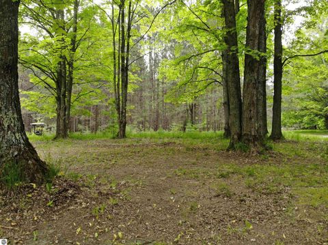 Tiny photo for 135 Montgomery Road, South Boardman, MI 49680 (MLS # 1940044)