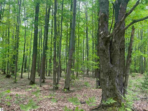 Tiny photo for 135 Montgomery Road, South Boardman, MI 49680 (MLS # 1940044)