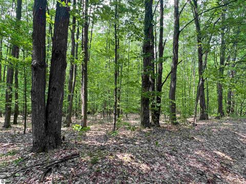 Tiny photo for 135 Montgomery Road, South Boardman, MI 49680 (MLS # 1940044)