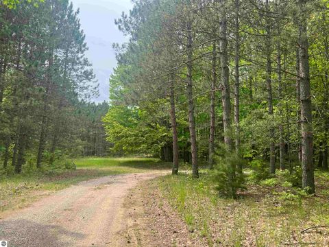 Tiny photo for 135 Montgomery Road, South Boardman, MI 49680 (MLS # 1940044)