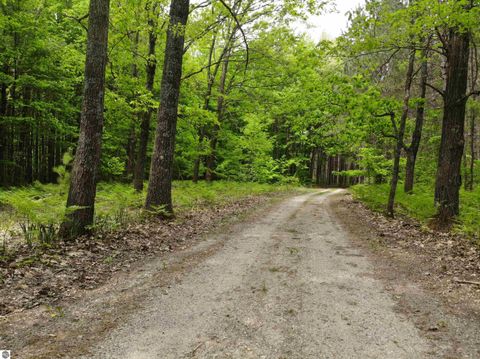 Tiny photo for 135 Montgomery Road, South Boardman, MI 49680 (MLS # 1940044)