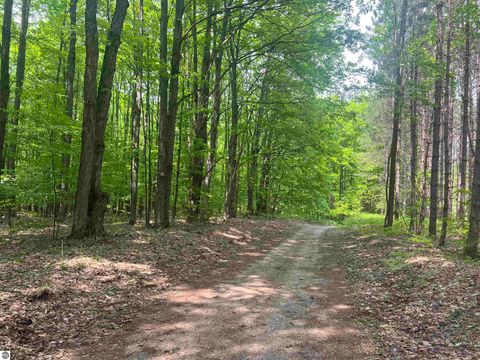 Tiny photo for 135 Montgomery Road, South Boardman, MI 49680 (MLS # 1940044)