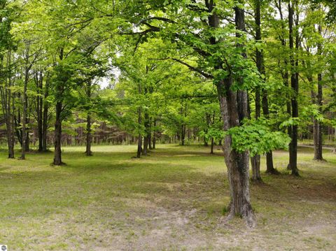 Tiny photo for 135 Montgomery Road, South Boardman, MI 49680 (MLS # 1940044)