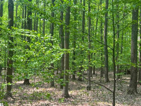 Tiny photo for 135 Montgomery Road, South Boardman, MI 49680 (MLS # 1940044)