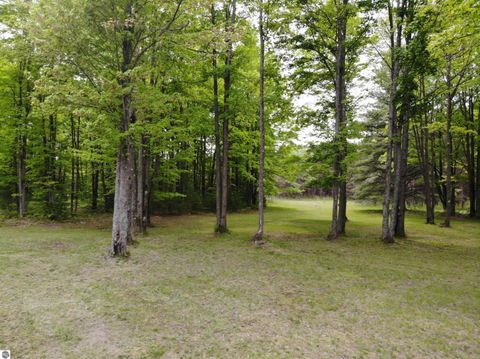 Tiny photo for 135 Montgomery Road, South Boardman, MI 49680 (MLS # 1940044)