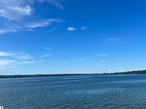 Tiny photo for 42114246 E Shore Drive NE, Kalkaska, MI 49646 (MLS # 1936874)