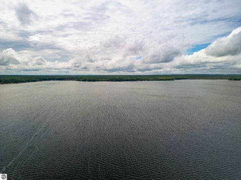 Tiny photo for 42114246 E Shore Drive NE, Kalkaska, MI 49646 (MLS # 1936874)