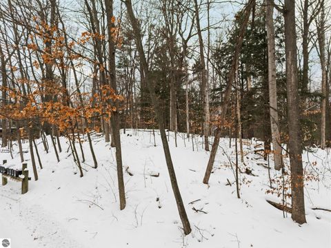 Tiny photo for 3019 Ishpeming Trail, Traverse City, MI 49686 (MLS # 1941166)