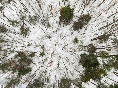 Tiny photo for 3019 Ishpeming Trail, Traverse City, MI 49686 (MLS # 1941166)