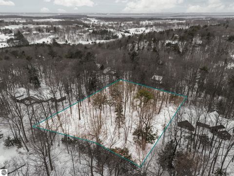 Tiny photo for 3019 Ishpeming Trail, Traverse City, MI 49686 (MLS # 1941166)