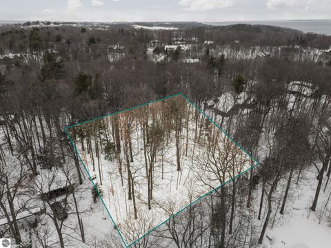 Tiny photo for 3019 Ishpeming Trail, Traverse City, MI 49686 (MLS # 1941166)