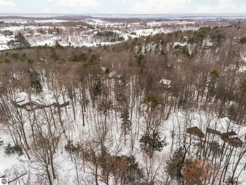 Tiny photo for 3019 Ishpeming Trail, Traverse City, MI 49686 (MLS # 1941166)