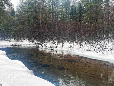 Tiny photo for 9769 Parrot Circle, Fife Lake, MI 49633 (MLS # 1941240)