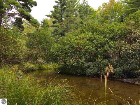 Tiny photo for 9769 Parrot Circle, Fife Lake, MI 49633 (MLS # 1941240)